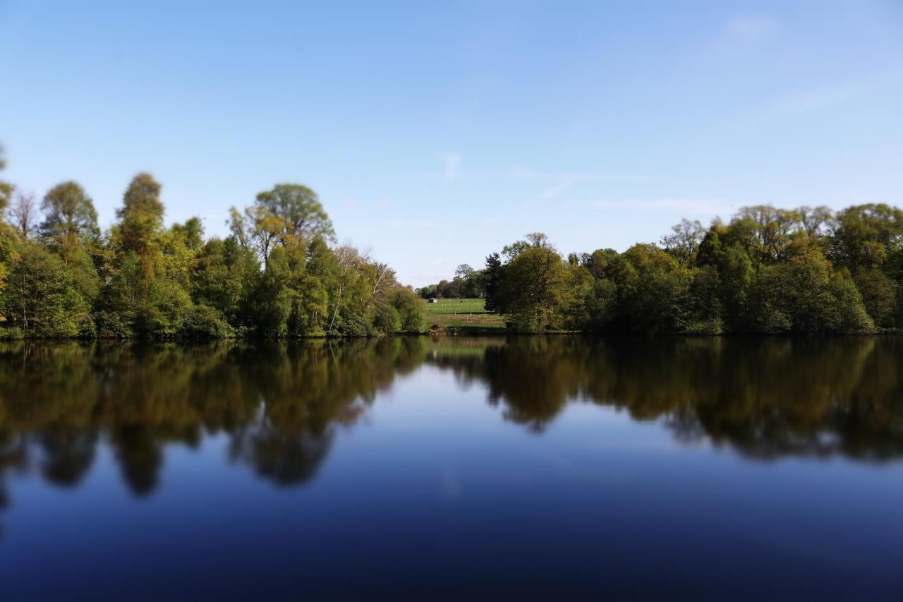 La Tiny Du Parc : Saint Symphorien Des Monts Vila Ernée Exterior foto